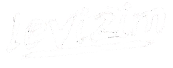 Levizim